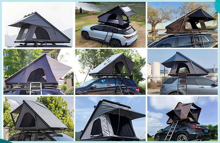 Continuous Product Innovation